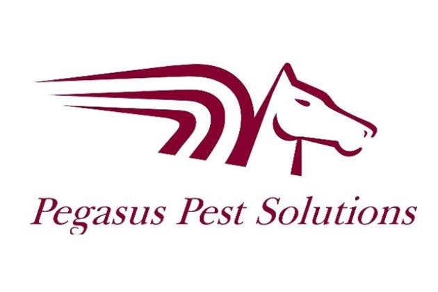 Pegasus Pest in Portsmouth