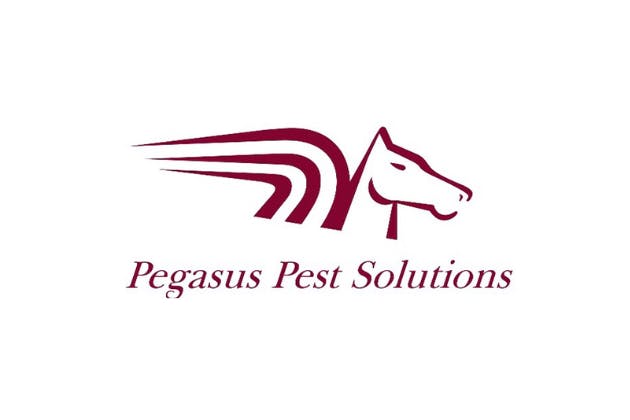 Pegasus pest solutions