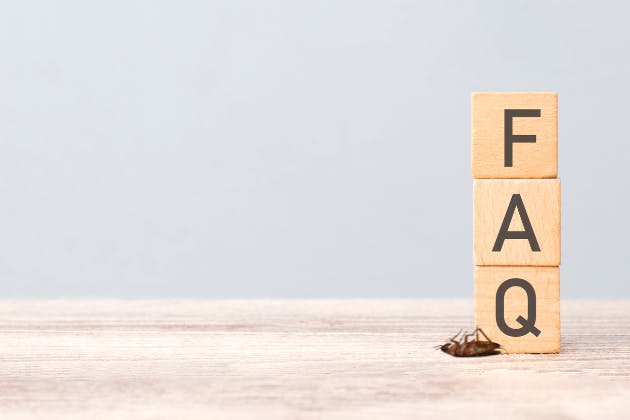 pest control faqs