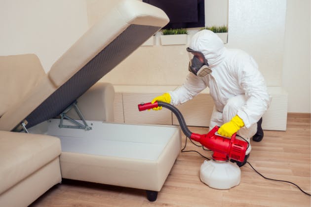 pest control services