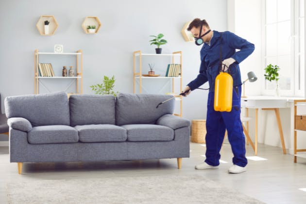 What’s Included in a Professional Pest Control Visit?