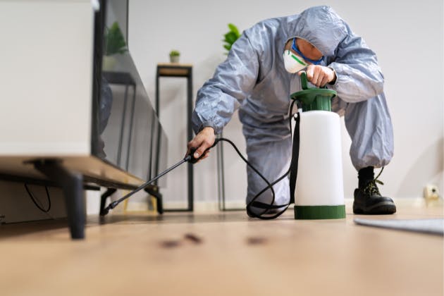 How Do Pest Control Services Handle Hard-To-Reach Areas