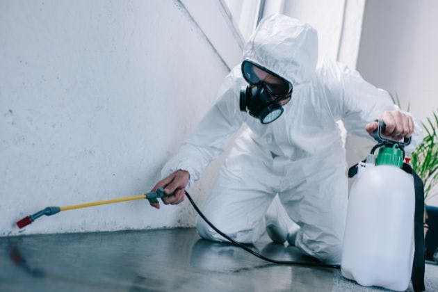 How Do I Choose The Right Pest Control Service For My Home?