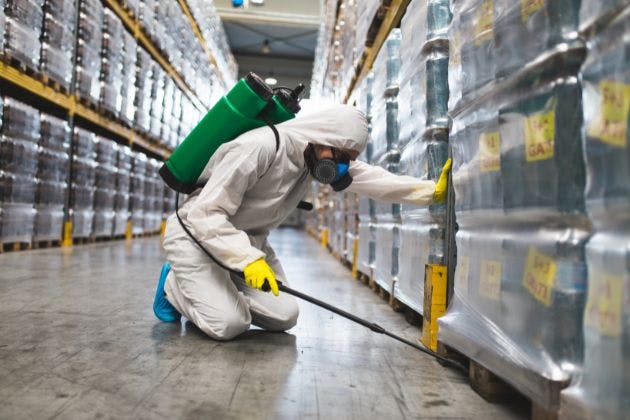 Commercial pest control contract: what good looks like