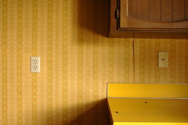 How to Clean Rat Droppings Safely (and When to Call Pros)