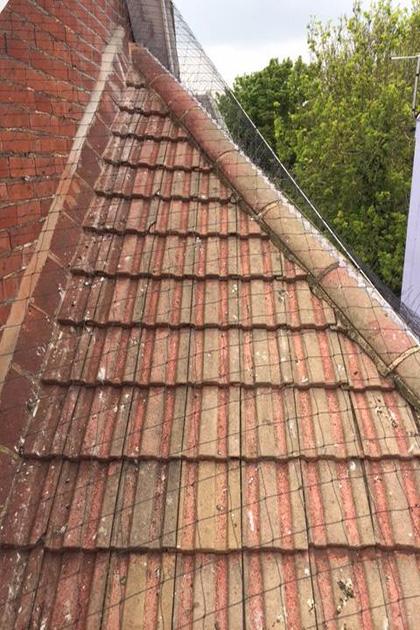 Proofing: Net over Roof