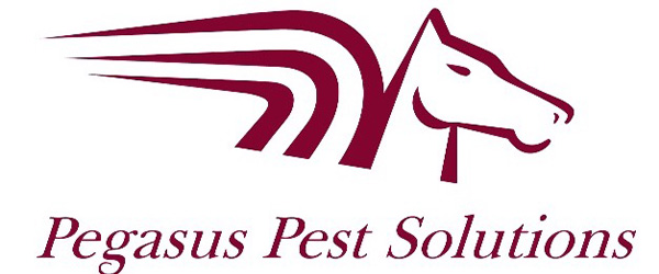 Pegasus Pest Solutions Ltd